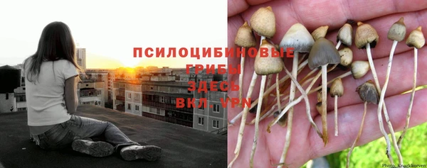 метамфетамин Армянск