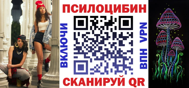 как найти   Мураши  Псилоцибиновые грибы Psilocybe 